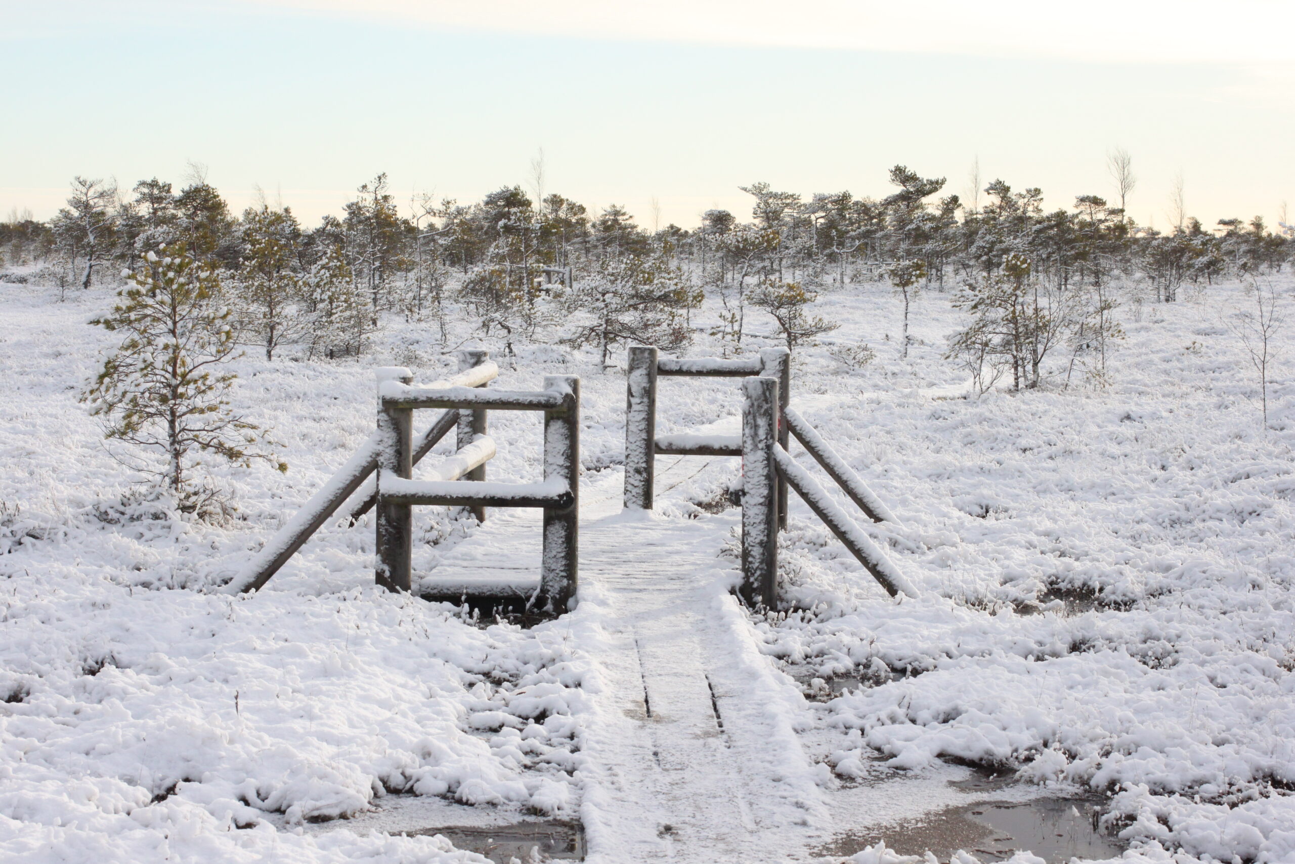 Should climate journalism be driven by Advocacy or Expertise?